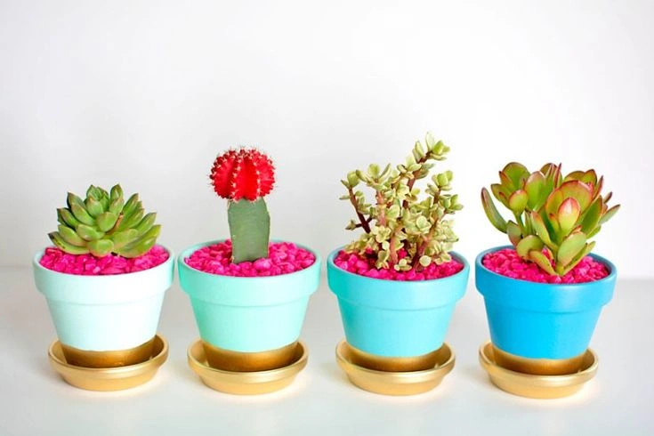 Painted Terracotta Pots