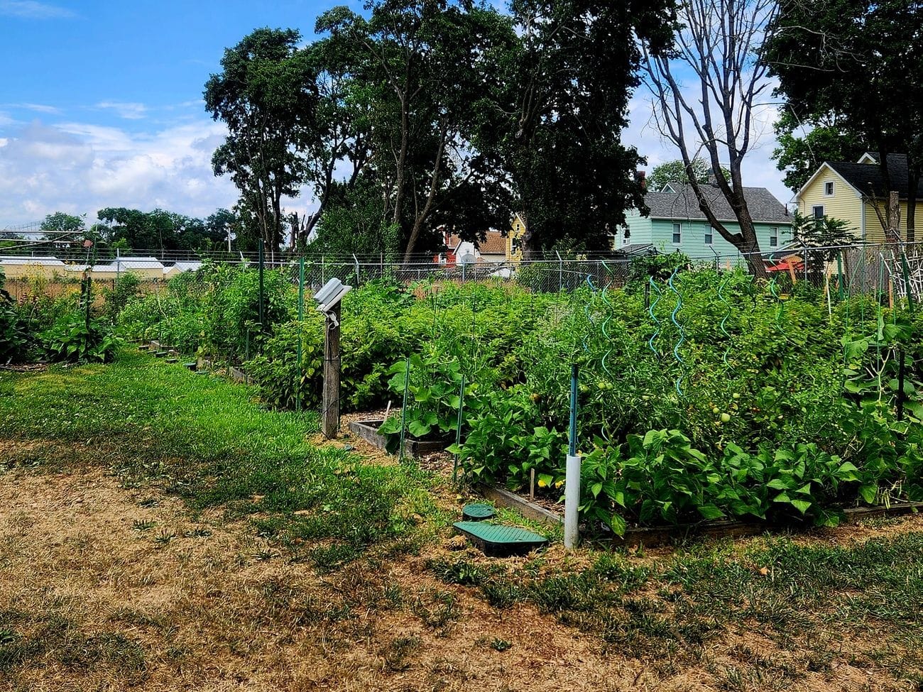 Local Community Gardens: Grow and Connect