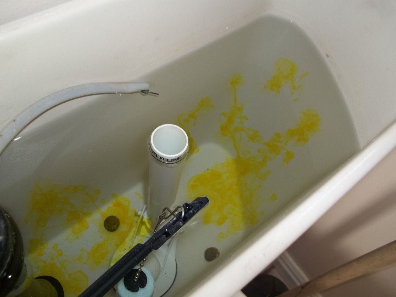 Colorful Toilet Water Surprise