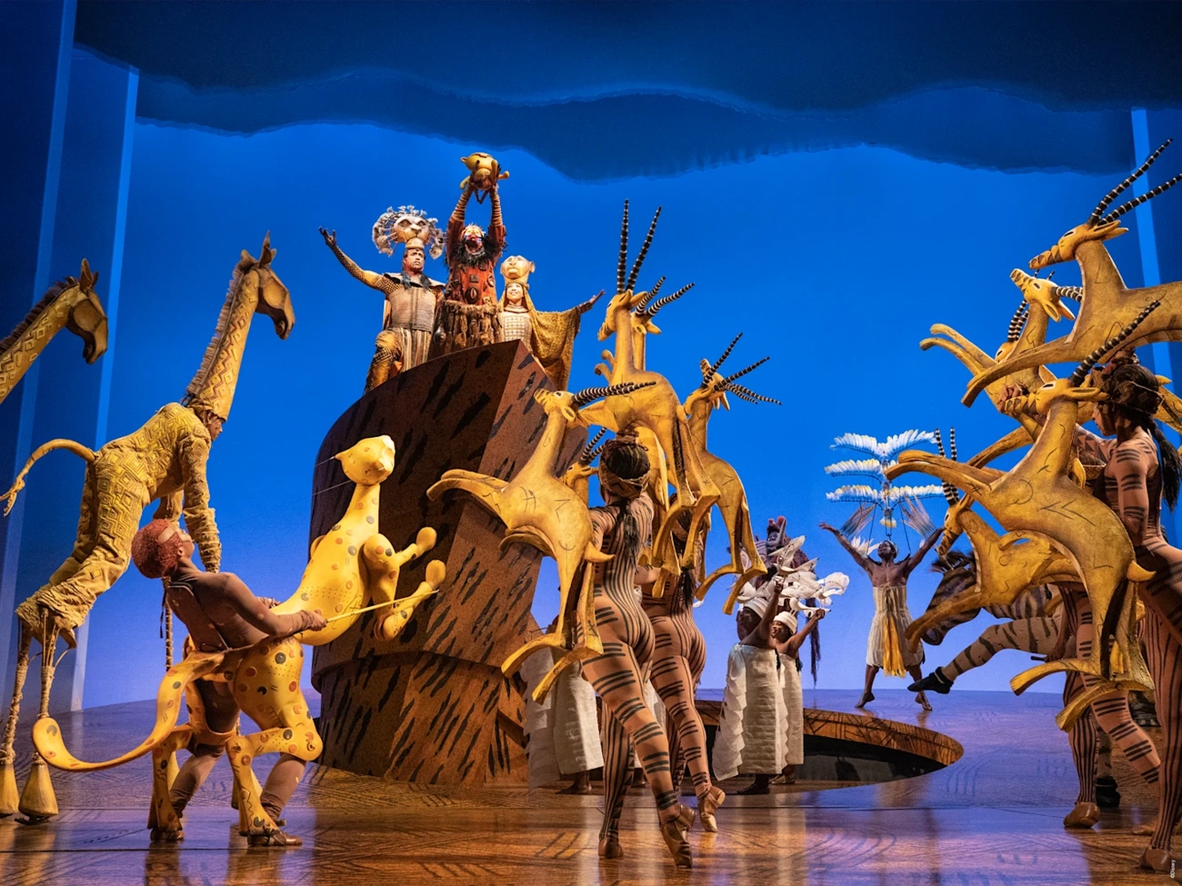 The Lion King at Minskoff Theater, NYC