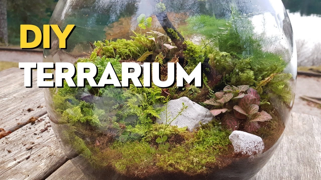 Terrarium Building