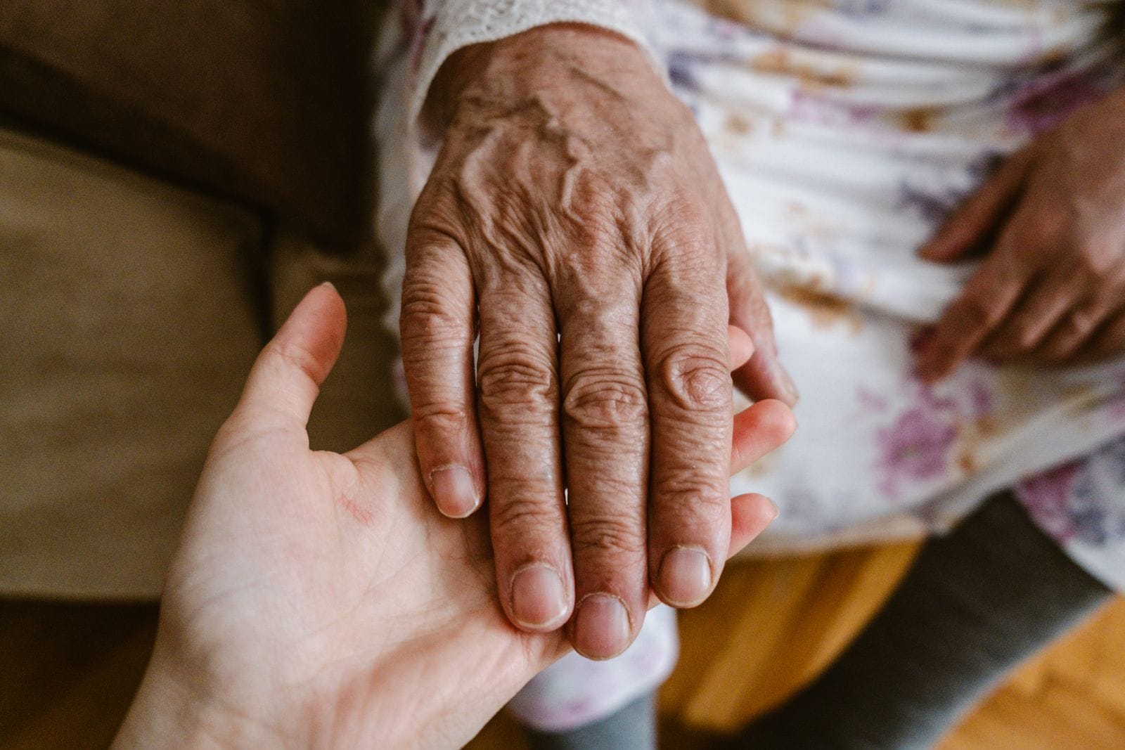 A younger person's hand gently holding the hand of an older adult resting on a sofa in warm, natural light