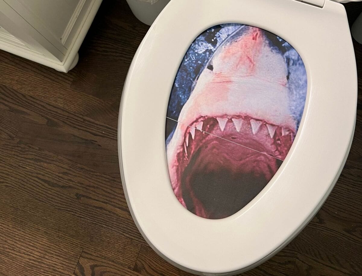 The Talking Toilet Prank