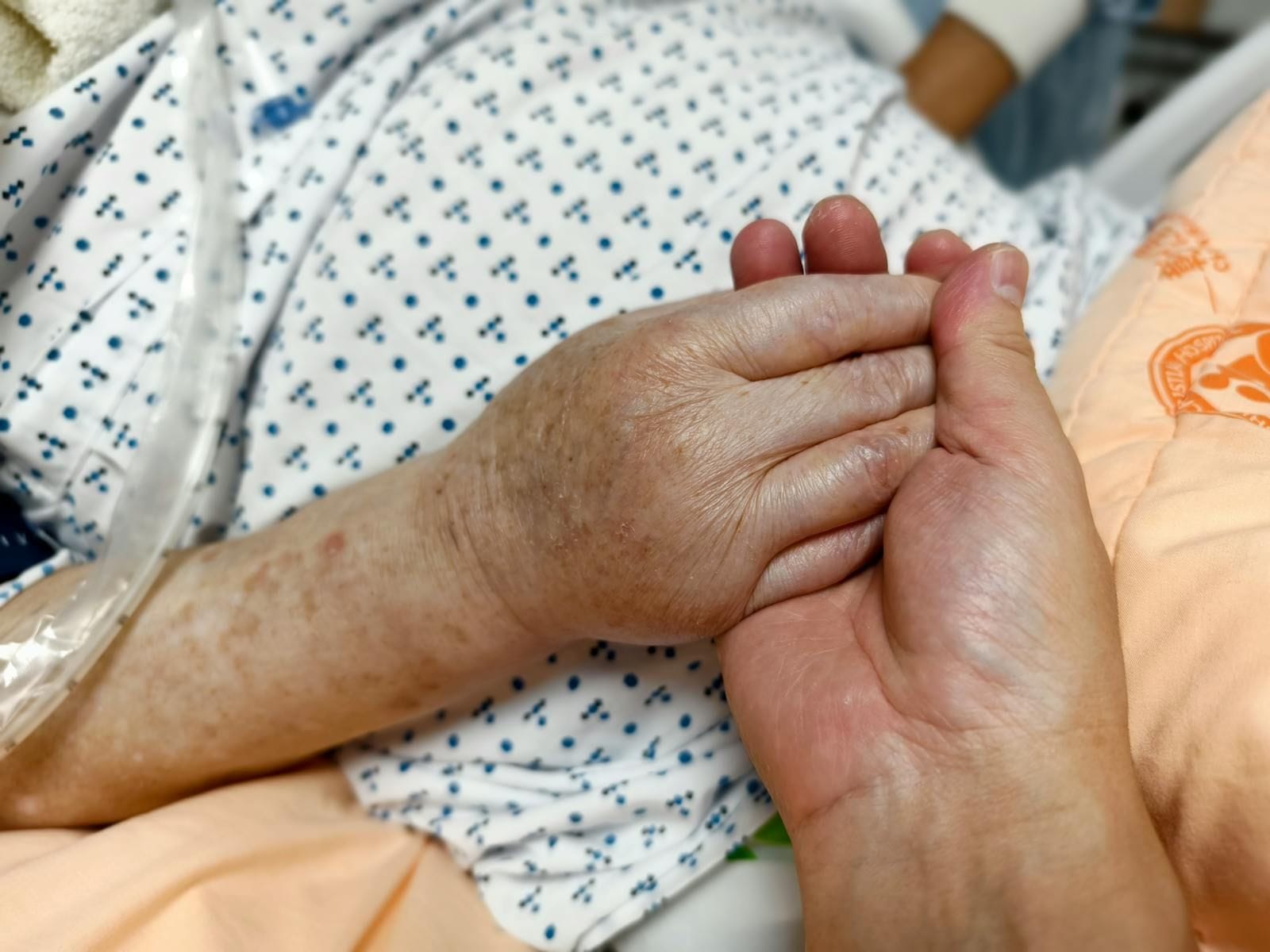 A close-up of two pairs of hands gently clasped together in a softly lit room — older fingers wrapped inside the steadier grip of a younger hand resting against the white of a bedsheet, the quiet form that the last hours of a long life so often take