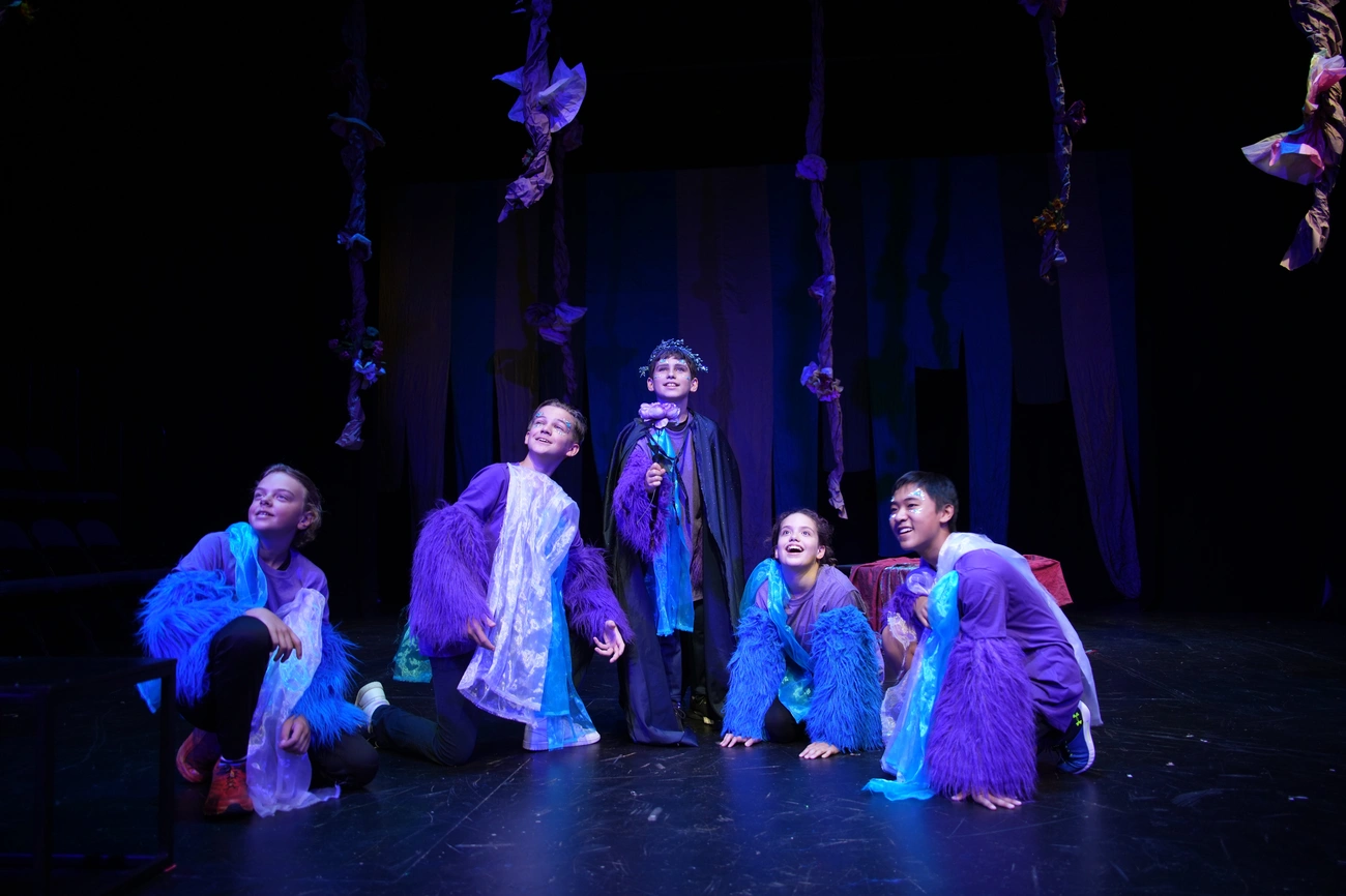 Senior Matinee Series at The Shakespeare Theater of NJ
